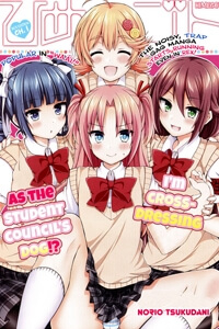 Bìa truyện Himegoto