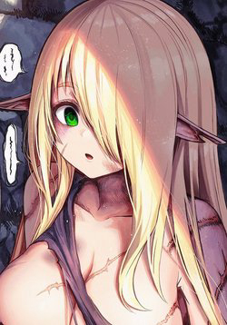 Bìa truyện Chàng dược sư sẽ khiến nàng Elf được hạnh phúc