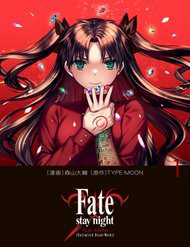 Bìa truyện Fate/Stay Night: Unlimited Blade Works