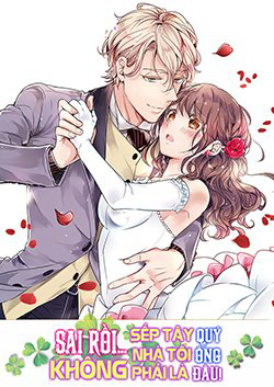 Bìa truyện Sai rồi, sếp tây nhà tôi không phải là quý ông đâu!