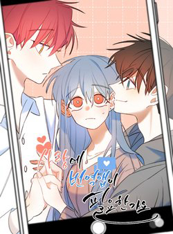 Bìa truyện Lời yêu thì cần app để dịch không?