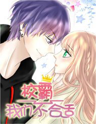 Bìa truyện Hiệp Bá, Chúng Ta Không Phù Hợp