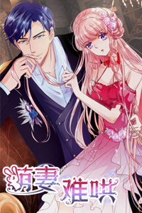 Bìa truyện Manh thê khó dỗ