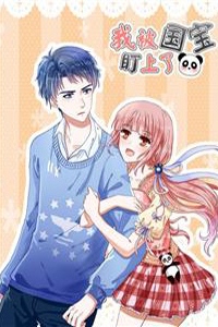 Bìa truyện Tôi bị gấu trúc nhìn trúng rồi