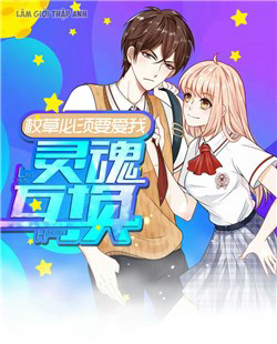 Bìa truyện Hoán Đổi Linh Hồn : Hiệu Thảo Cũng Phải Yêu Ta