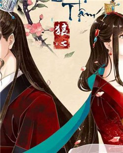 Bìa truyện Linh Lung Lang Tâm