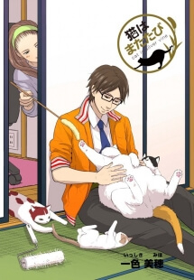 Bìa truyện Cat is silver vine