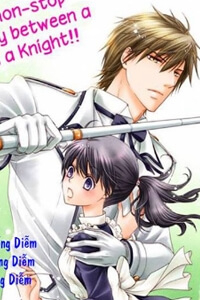 Bìa truyện Watashi no Kishi-sama wa Minaraichuu!