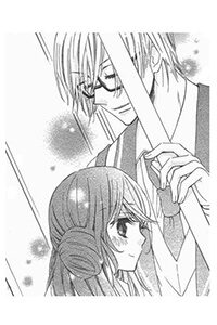 Bìa truyện Perfect Boyfriends