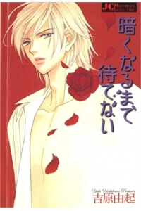 Bìa truyện Kuraku Naru Made Matteinai (Không Thể Đợi Đến Đêm Tối)