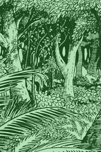 Bìa truyện Truyện Tranh Phật Giáo Nhật Bản Q2