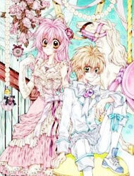 Bìa truyện Neko to Watashi no Kinyoubi