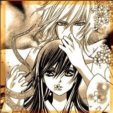 Bìa truyện Ginrou no Sakura