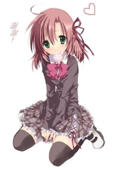 Bìa truyện Seitokai no Ichizon